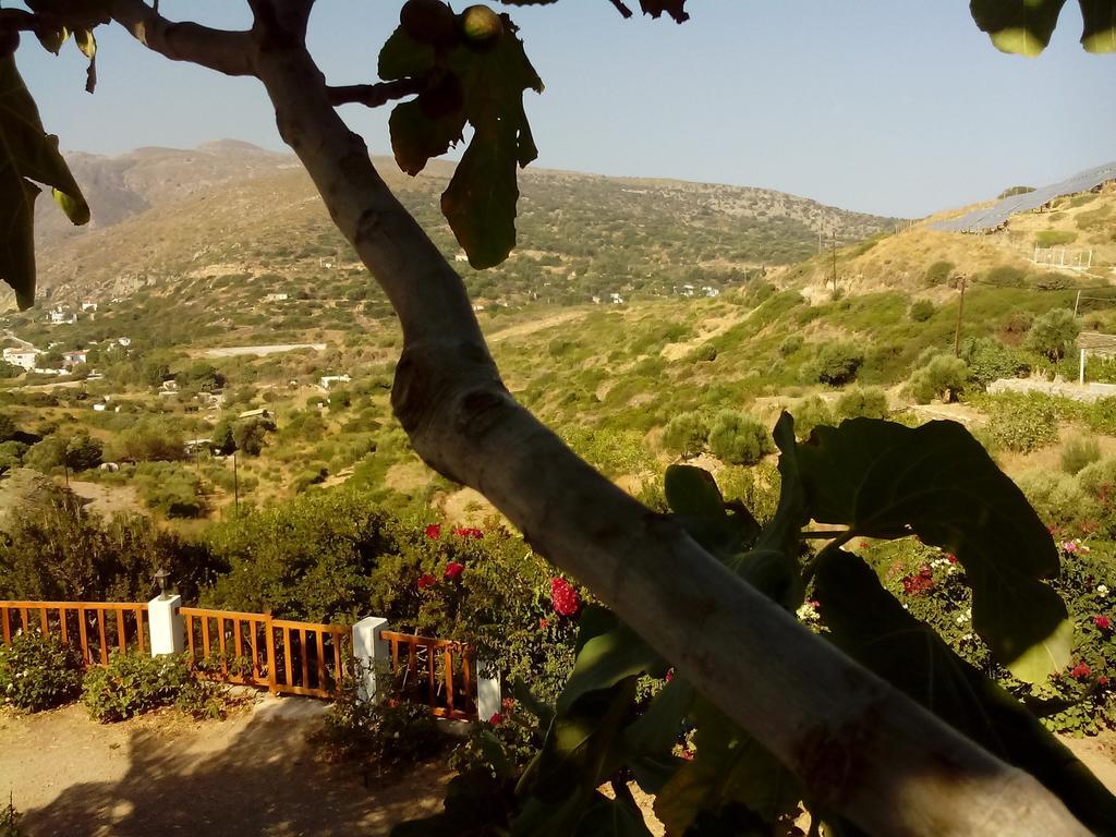 Drakano Rooms Fanari (Icaria) Exterior foto